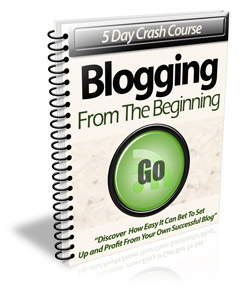 Blogging Crash Course by Daniel St.Pierre